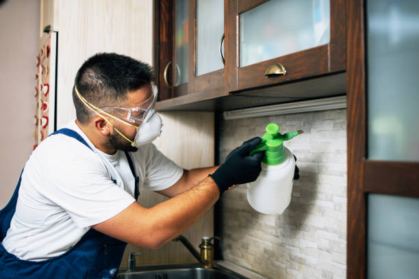 Best Best Pest Control Companies  in Hamlin, TX