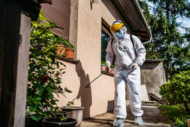 Hamlin, TX Pest Control Company