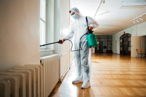 Best Termite Control Services  in Hamlin, TX
